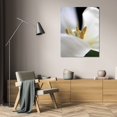 thumbnail image 3 of Tammy Putman 28x40 Gallery Wrapped Canvas Wall Art Titled - White Tulip, 3 of 4