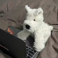 thumbnail image 5 of Cute West Highland puppy comfort doll sleeping pillow plush toy doll healing birthday gift for men and women, 5 of 5