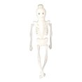 thumbnail image 2 of TIMIFIS Halloween Lights Led Halloween Lights String Skull Lights String Skeleton Lights String Ghost Festival Terror Decorative Lanterns Hanging Lamp Battery Money Halloween Decorations -, 2 of 5
