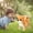 Gold, variant on Gold Smart Robot Dog Toy Corgi Design Walking Plush Puppy With Sound And Light Electronic Pet For Children Interactive Play With Motion And Music
