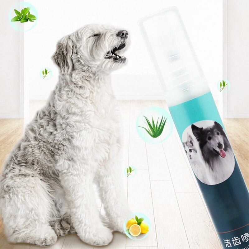 cleaning supplies safe for dogs