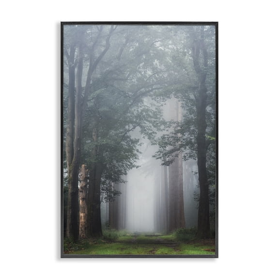 Stupell Industries Calm Forest Clearing Landscape & Nature Photography Black Framed Art Print Wall Art, 12 x 18