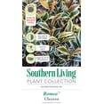 thumbnail image 5 of Southern Living Romeo Cleyera Live Shrub in 2-Gallon Grower Pot, 5 of 7