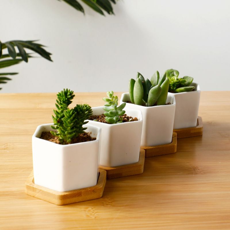 Succulent Planters with Drainage Hole and Bamboo Plant Saucers Succulent Pots ZOUTOG 4 inch Colorful Ceramic Flower Pots 