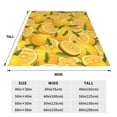 thumbnail image 3 of Balery Yellow Limes Manta de Felpa Suave y Acogedora – Cobija de Franela Aterciopelada para Cama, Lavable y Cálida para Sofá, Mascotas, Transpirable-50"x40", 3 of 7