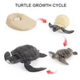 thumbnail image 1 of Qaailabf Cheap Stuff 4 Piece Insect Figure Life Cycle Plastic Brood to Period, 1 of 3
