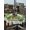 Off-White, variant on St Patrick's Day Outdoor Tablecloth - 60x102 Inch Rectangle Dining Table Cover, Shamrock Leaf Coffee Cups Books Dark Green Waterproof Outdoor Table Cloth with Umbrella Hole & Zipper for Picnic/Patio