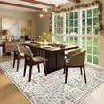 BERTHMEER 3'x5' Small Washable Grey and Brown Area Rugs for Bathroom