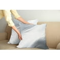 thumbnail image 2 of Ambesonne Grey Throw Pillow Cover 2 Pack, Abstract Ombre Lines, 20", Grey Pale Grey White, 2 of 5