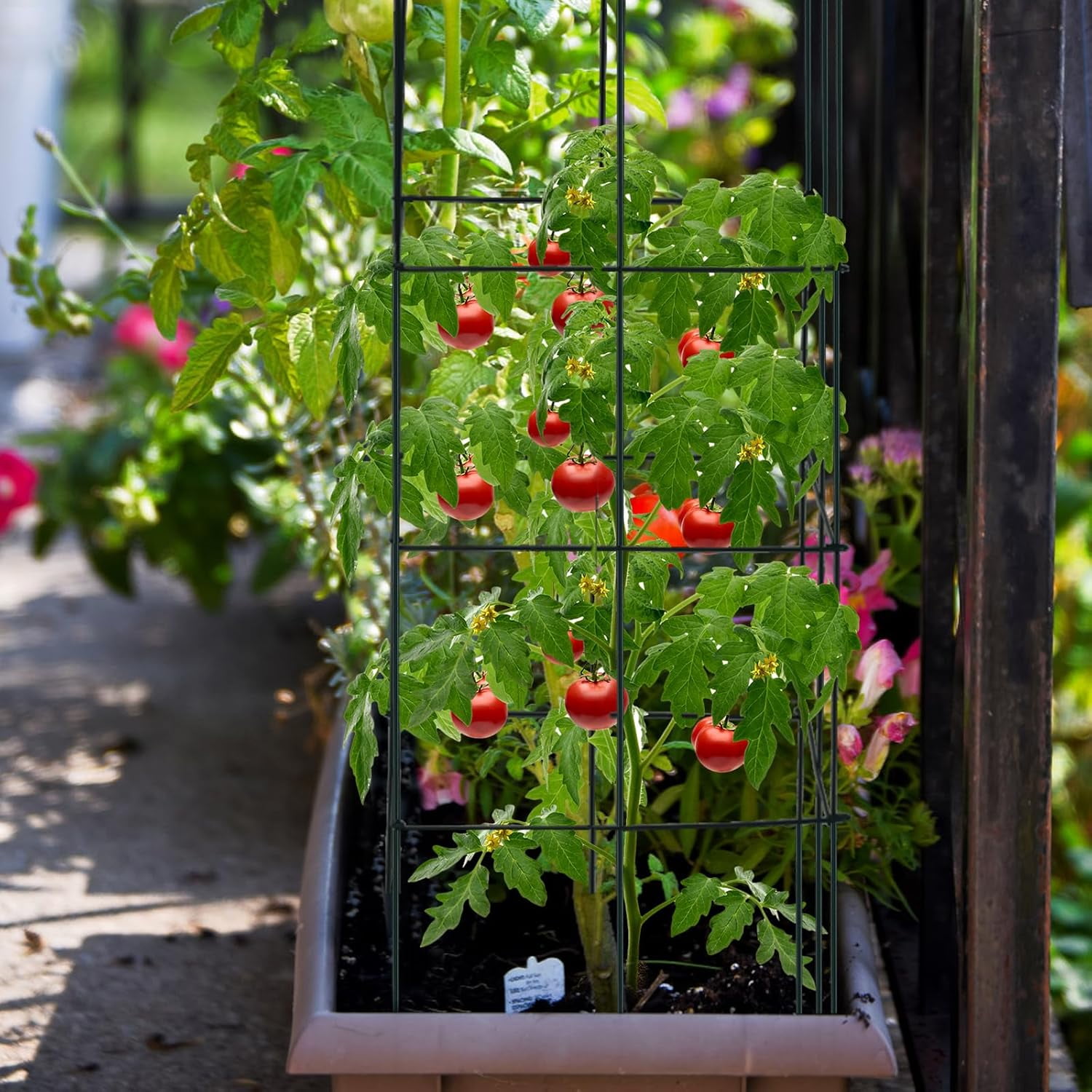 ZMSHOP 4 Pack Folding Tomato Cages, 39 Inches Tall Square Plant Support Cage for Garden Climbing Plants Flowers Fruits, Heavy Duty Tomato Vegetable Trellis