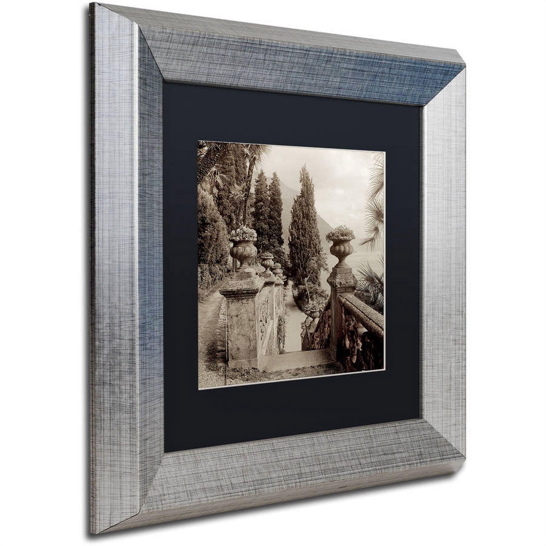 Trademark Fine Art "Lombardy VIII" Canvas Art by Alan Blaustein, Black Matte, Silver Frame