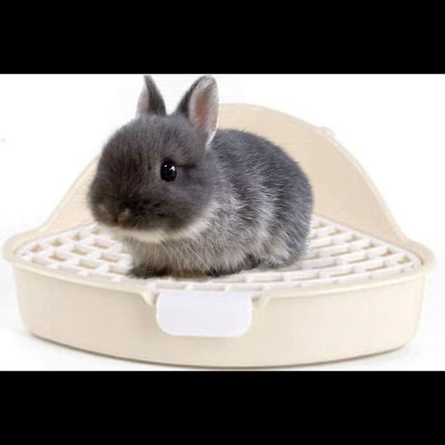 Arena para conejitos, inodoro para mascotas, orinal, entrenador, bandeja esquinera, caja de cama para animales pequeños, conejillo de indias, hurón, hámster, conejo enano (blanco)