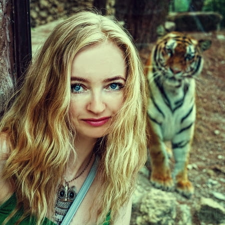 Tigress Tiger - Canvas Print Eyes Tigress Zoo Girl Safari View Model Tiger Stretched Canvas 32 x 24