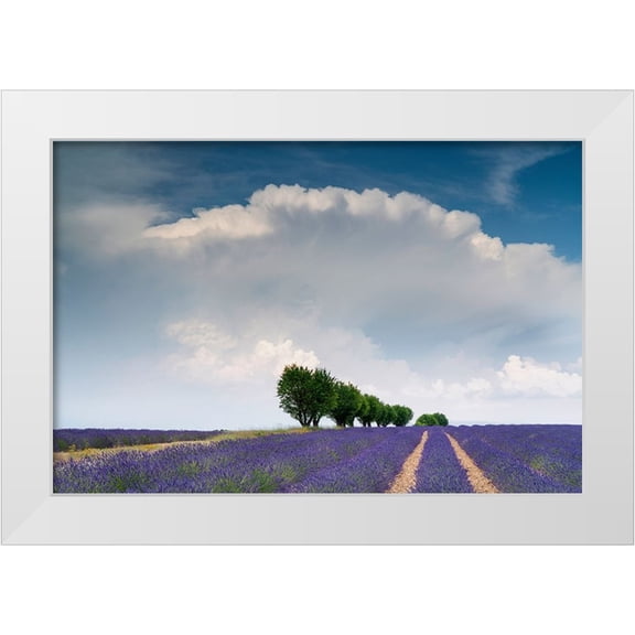 Jaynes Gallery 14x11 White Modern Wood Framed Museum Art Print Titled - Europe-France-Provence-Valensole Plateau-Clouds over rows of lavender and trees