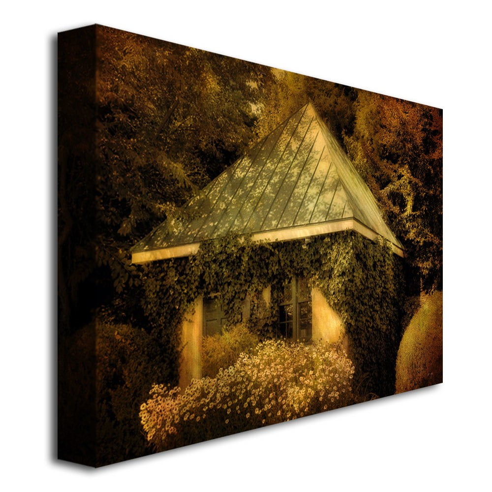 Trademark Fine Art "Forgotten Shed" Canvas Wall Art by Lois Bryan