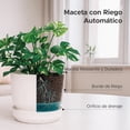 thumbnail image 2 of Set de 2 Macetas Cilíndricas Elly Decor 30 cm con Auto-Riego Blanco, 2 of 7