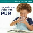 Plus Water Pitcher Filtration System with 6 Months of Filters, 11 Cup