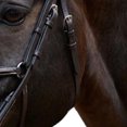 thumbnail image 4 of Whitaker Eastwood Mexican Leather Horse Bridle With Reins, 4 of 4