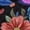 Butterfly Flower, variant on House Butterfly Flower Leaf Womens Shoes Mule Clog Sport Comfortable Mesh Sneakers Casual Indoor Outdoor