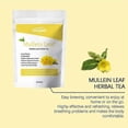 thumbnail image 3 of Mullein Leaf Tea Bags Herbal Lung Cleansing Breathing Cough Relieve Tea - NL, 3 of 5