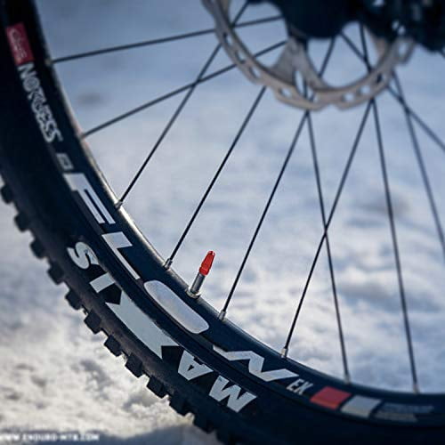 bike wheel cap