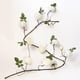 thumbnail image 4 of Flor de Peonía Artificial Ivy Vine Colgante Planta Hoja 6 Pies Blanco, 4 of 9