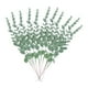 thumbnail image 1 of Billuyoard 24 piezas de flores y plantas artificiales naturales en interiores con decoración floral artificial realista flores secas Decoración, 1 of 6