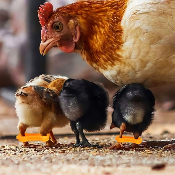 OUNONA 15Pcs Baby Bird Hobble Brace PVC Correction for Chickens Parrots