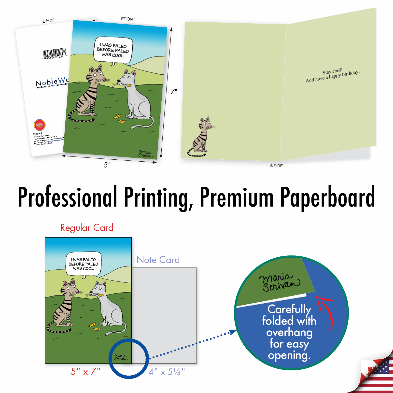 NobleWorks 36 Assorted Box Set Funny Birthday Greeting Cards w/5 x 7 Inch Envelopes (36 Designs, 1 Each) Bday Maria Scrivan's Celebrate AC7741BDG-B1x36