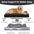 thumbnail image 3 of OhGeni Orthopedic Large Dog Bed 41in, Deluxe Pet Bed for Crates, Waterproof and Washable, 25D Egg Crate Foam Pad Anti-Slip Sleeping Mat for Large, Jumbo, Medium Dogs Breeds, 41" x 28", Black, 3 of 8