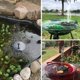 thumbnail image 5 of Fuente solar flotante para exteriores de 6 V/1,0 W, bomba solar para estanque y bomba de agua solar con 7 boquillas, para baños de pájaros, acuarios, estanques, decoraciones de jardín y cuatro barandi, 5 of 5