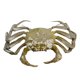thumbnail image 4 of Modelo de Animales Marinos Sunnimix Juguetes de simulación Verde, 4 of 8
