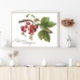 thumbnail image 3 of Kit Punto Cruz Con Frutas Hilo Algodón Ecológico Bordado 14CT Obra Arte 32x27cm, 3 of 9