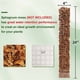 thumbnail image 4 of Ounissouiy La planta en conserva interior del ABS pega la ayuda única para el musgo fácil poste del crecimiento para las plantas Jardín y Patio Juego de 2 piezas, 4 of 6