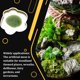 thumbnail image 3 of Cateissary Terrarium Decor Rainforest Diorama Supplies Faux Moss Medio hecho a mano Decoración del hogar Nº 60 5*6cm, 3 of 6