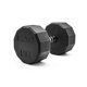 thumbnail image 1 of Mancuerna CAP Barbell 18 kg Recubierta de Goma con Mango Cromado, 1 of 7