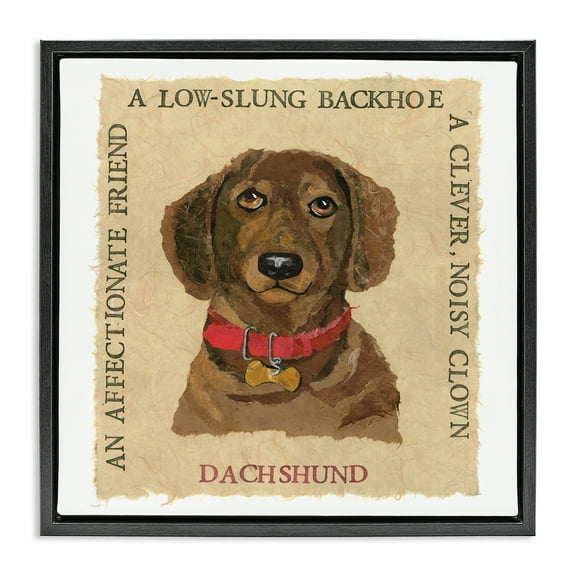 Stupell Industries Fun Dachshund Pet Phrases Animals Painting Black Floater Framed Canvas Art Print Wall Art, 18 x 18