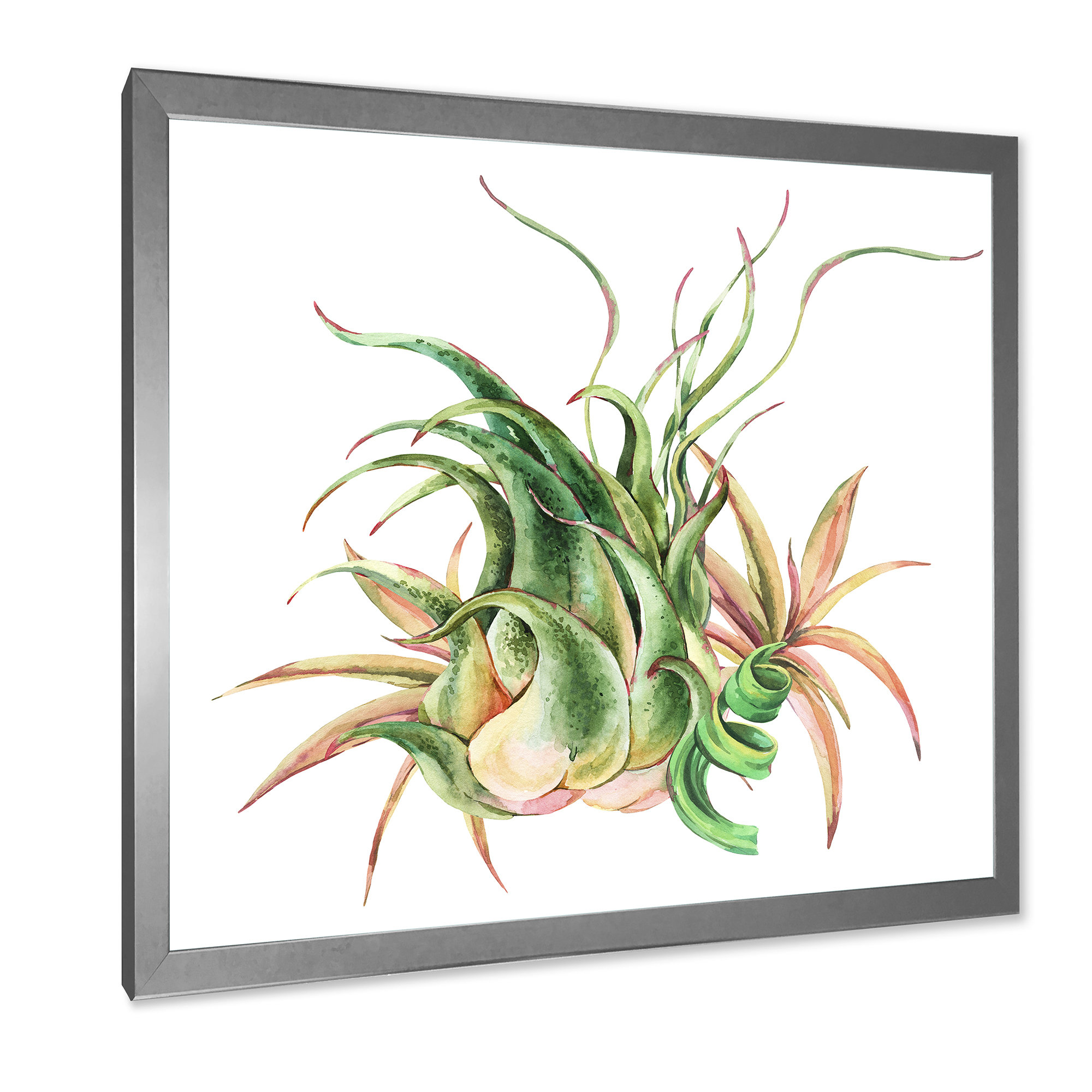 Designart 'Tropical Leaves Air Plant Succulent On White' Farmhouse Framed Art Print