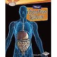thumbnail image 1 of Your Digestive System, 1 of 5