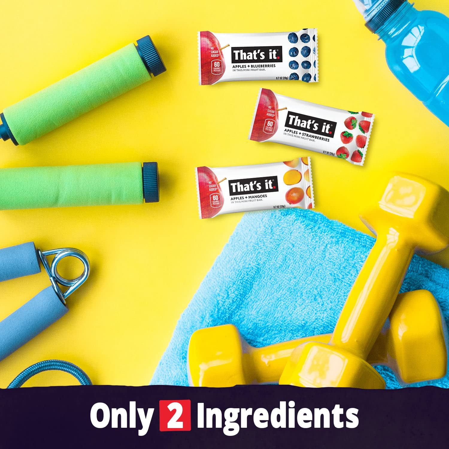 That's it. Mini Fruit Bars (Variety 24 PACK) No Sugar Added, Plant-Based, Vegan & Gluten Free, Breakfast Bar, Paleo, for Children & Adults, Non GMO, Fiber (8 Blueberry, 8 Strawberry, 8 Mango)