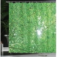 thumbnail image 4 of Ambesonne Nature Shower Curtain, Sun with Tree Branches, 69"Wx70"L, Green, 4 of 5