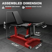 Leg Extension and Curl Machine, 440LB Adjustable Leg Curl Machine for Home Gym, Seated Leg Extension and Lying Curl Machine for Lower Body Workouts