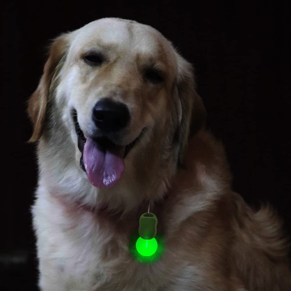 Night eyes cheap dog collar