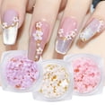 thumbnail image 2 of UDIYO 1 Box Nail Decoration Exquisite Shape Gradient Color Realistic Looking Plentiful Quantity Wide Application Decorative Resin Fashionable 3D Nail Art Decoration DIY Crafts Nail, 2 of 7