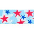 thumbnail image 3 of Country Brook Design - American Celebration Polyester Webbing (1 Inch), 3 of 4