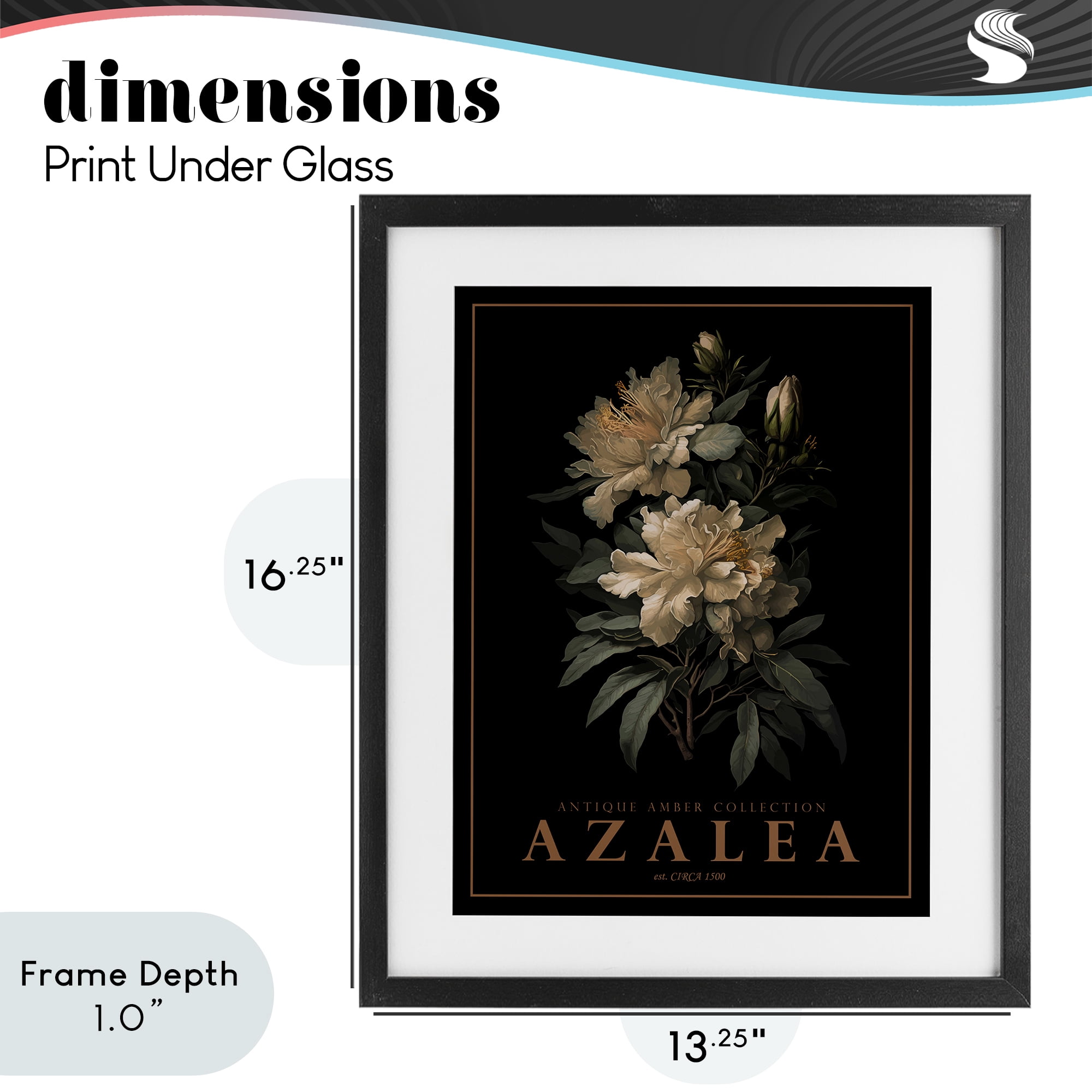 Stupell Industries Antique Azalea Bushel Black Framed Print Under Glass, design by Christopher Giampietro