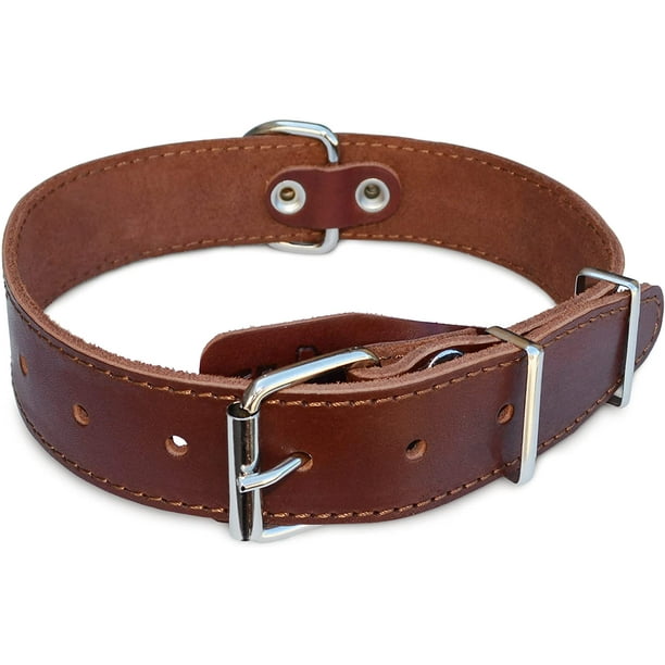 Leather dog hotsell collar large