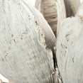 thumbnail image 4 of Vickerman 12-16" White Wash Star Pod, Extra Large, 4 of 4