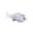 D, variant on Miniature Fish Figurine for Garden Terrarium Decor Single Plastic Artificial Aquatic Animal Ornament Assorted Colors Realistic Pond Aquarium Desk Accessory