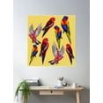 thumbnail image 2 of Australian Birds Watercolour Poster Wall Art, Modern Wall Decor For Living Room Bedroom, 8x12 UNFRAMED, 2 of 3